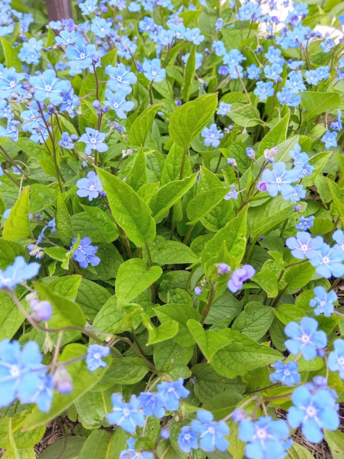 波動調整おすすめです|40代|女性