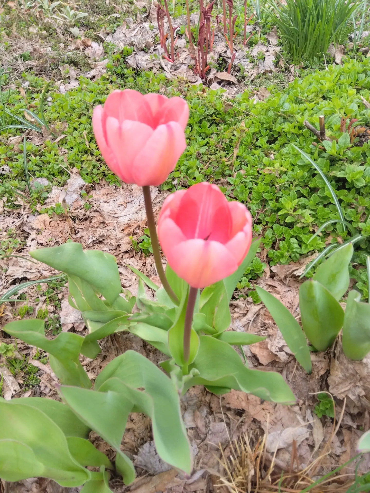 何のために自分は居るのか?|女性