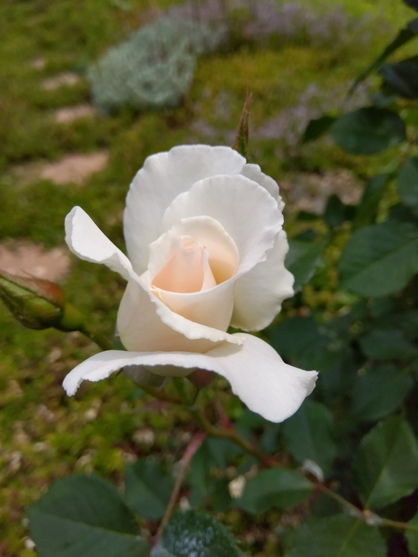 日々、忙殺|30代|女性