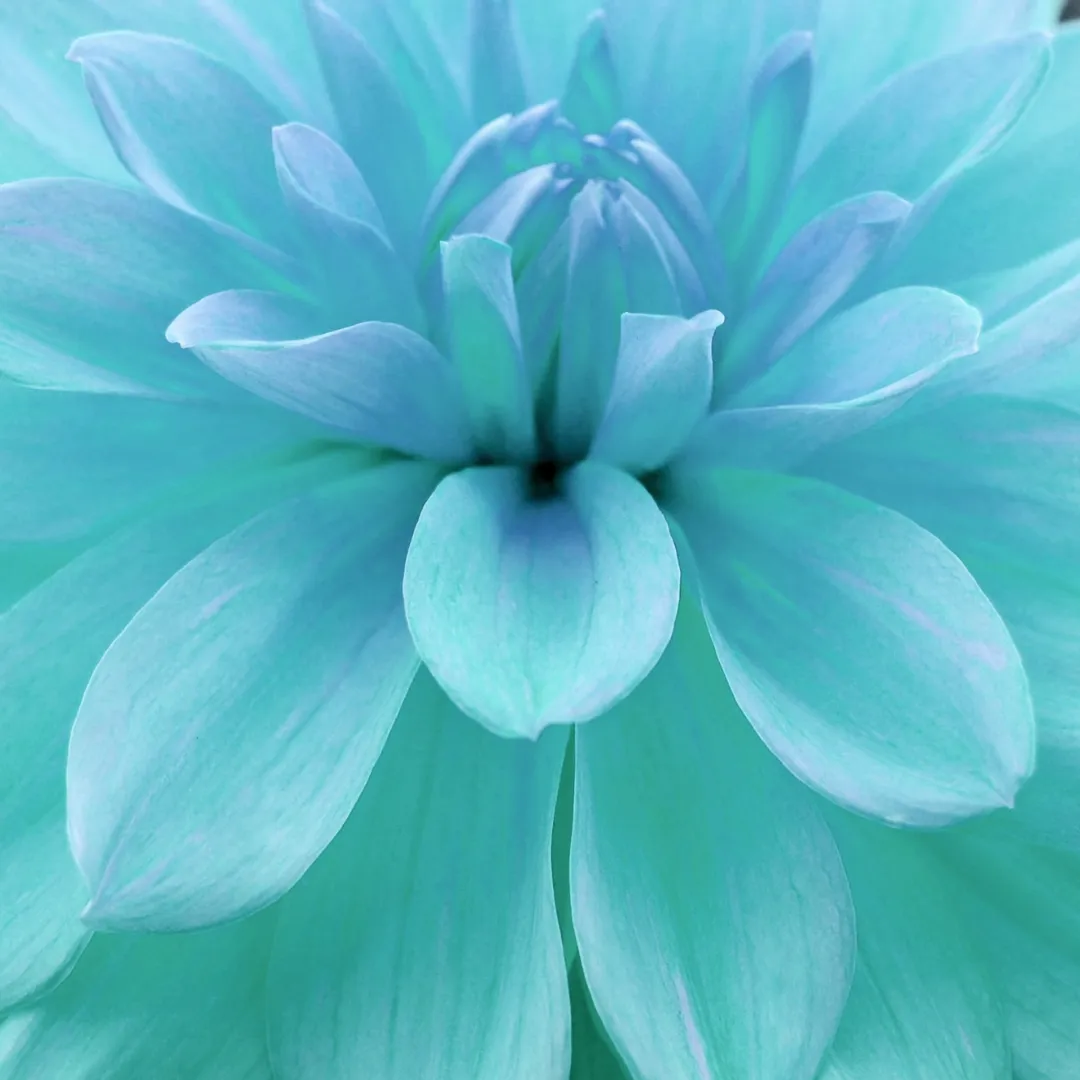 おまじない教えます。札幌市北区麻生レイキヒーリング整体