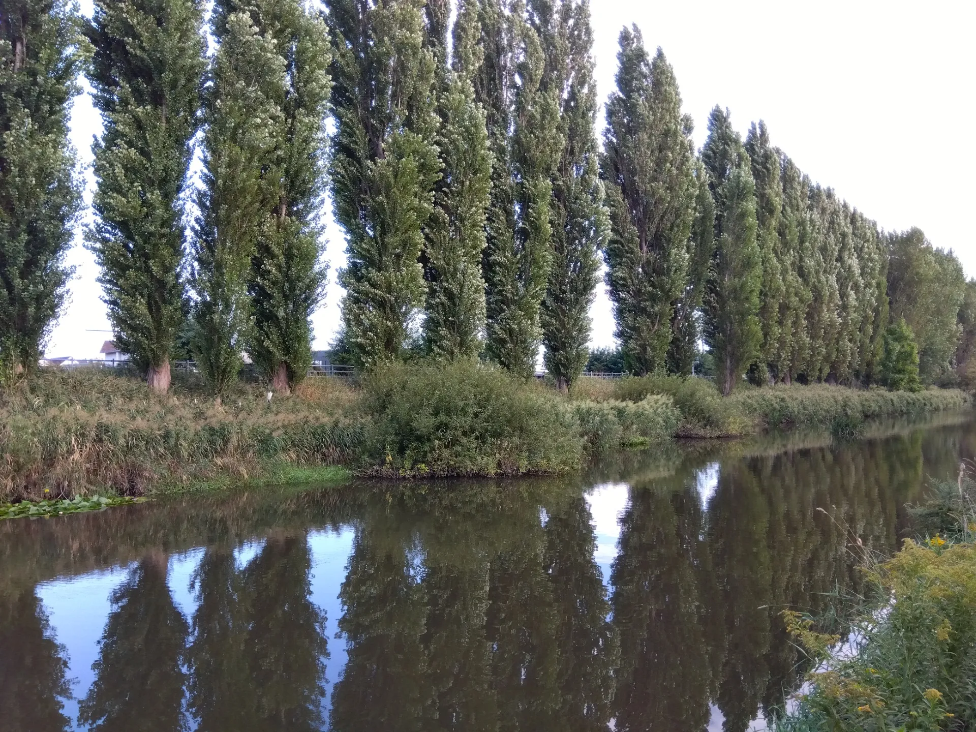 【札幌市北区麻生レイキヒーリング整体】大きな一歩踏み出してみませんか？