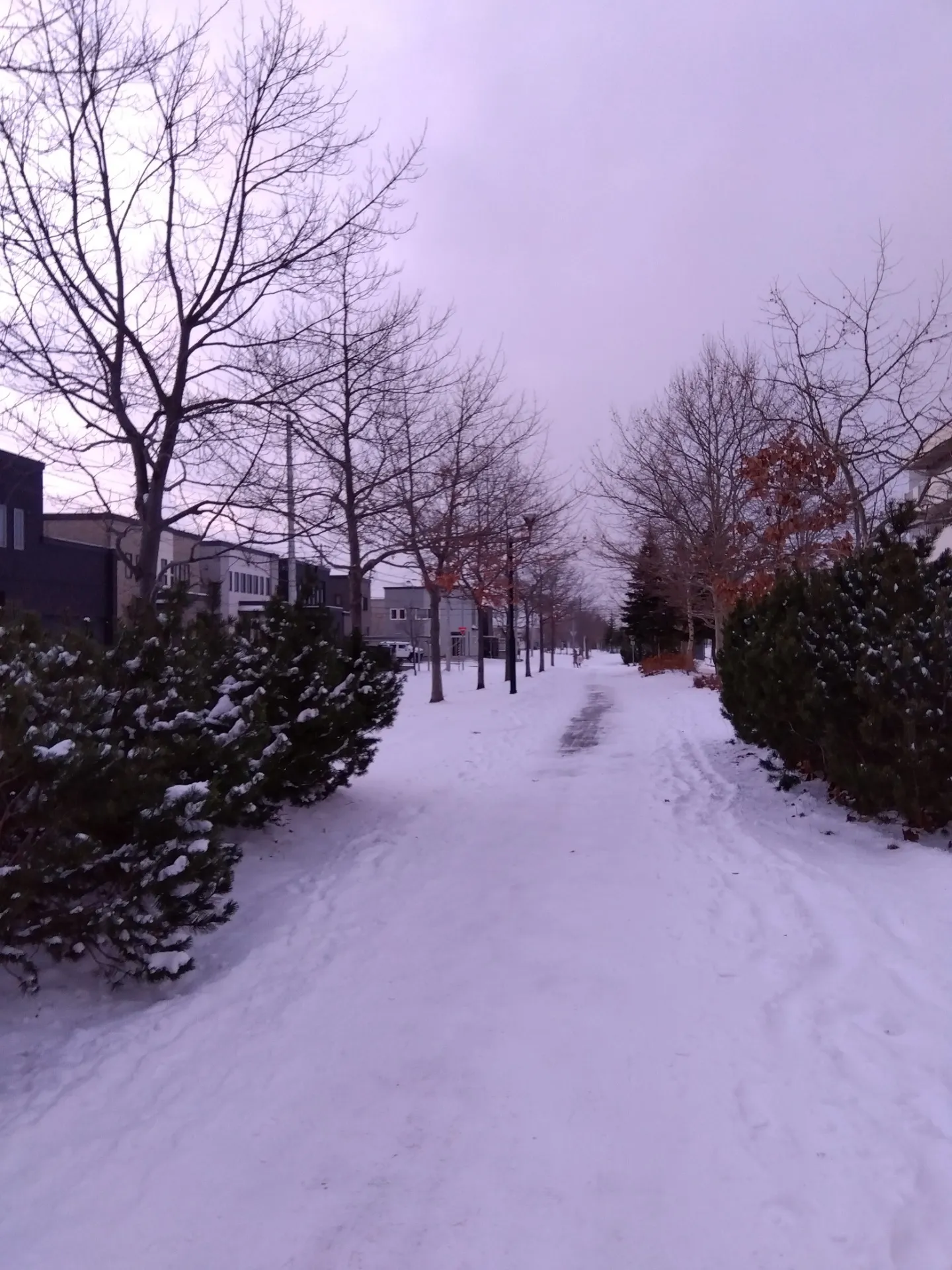 今年の疲れは今年のうちに…札幌市北区麻生レイキヒーリング整体