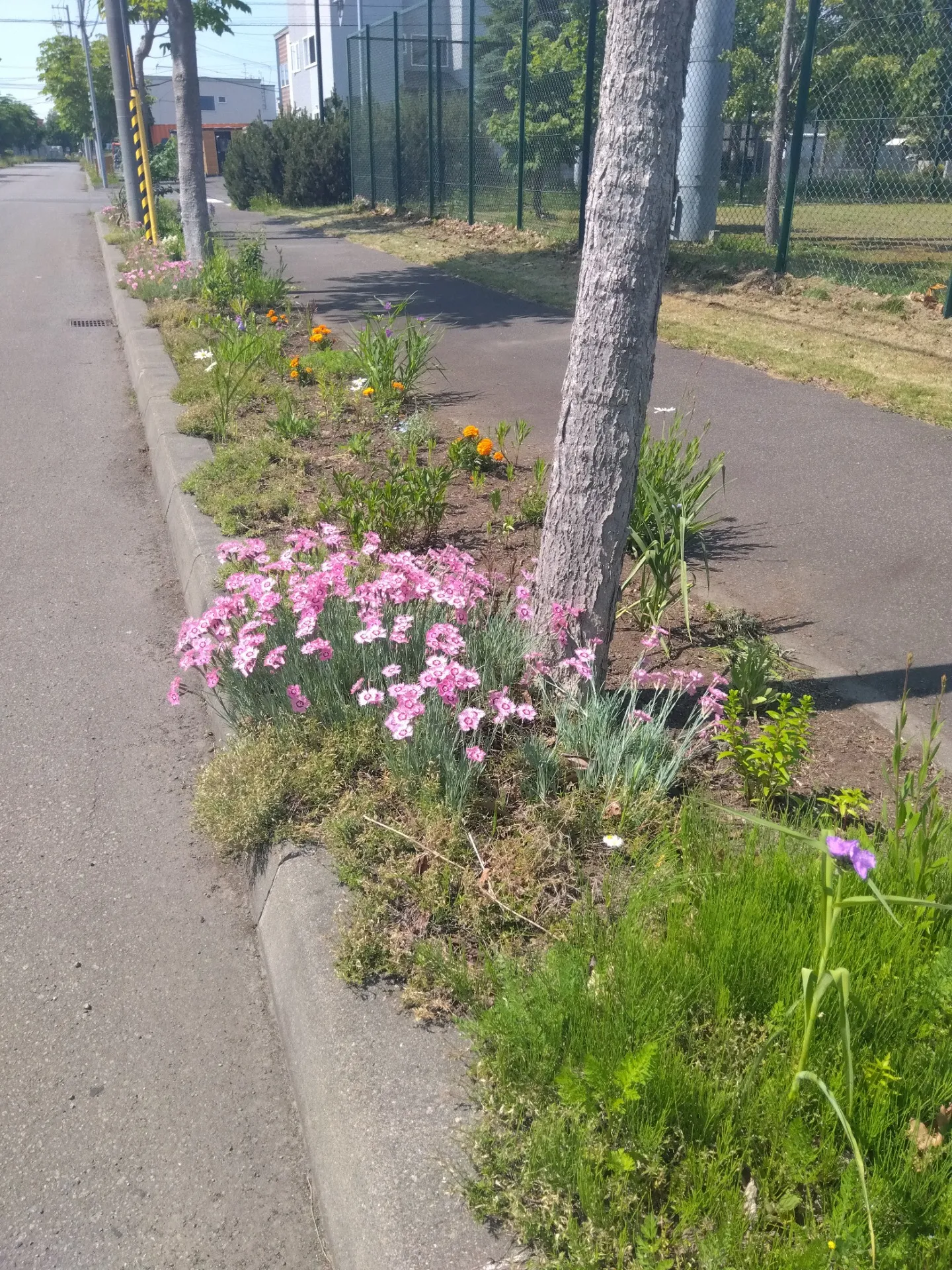 人からの念もらっていませんか？札幌市北区麻生レイキヒーリング整体