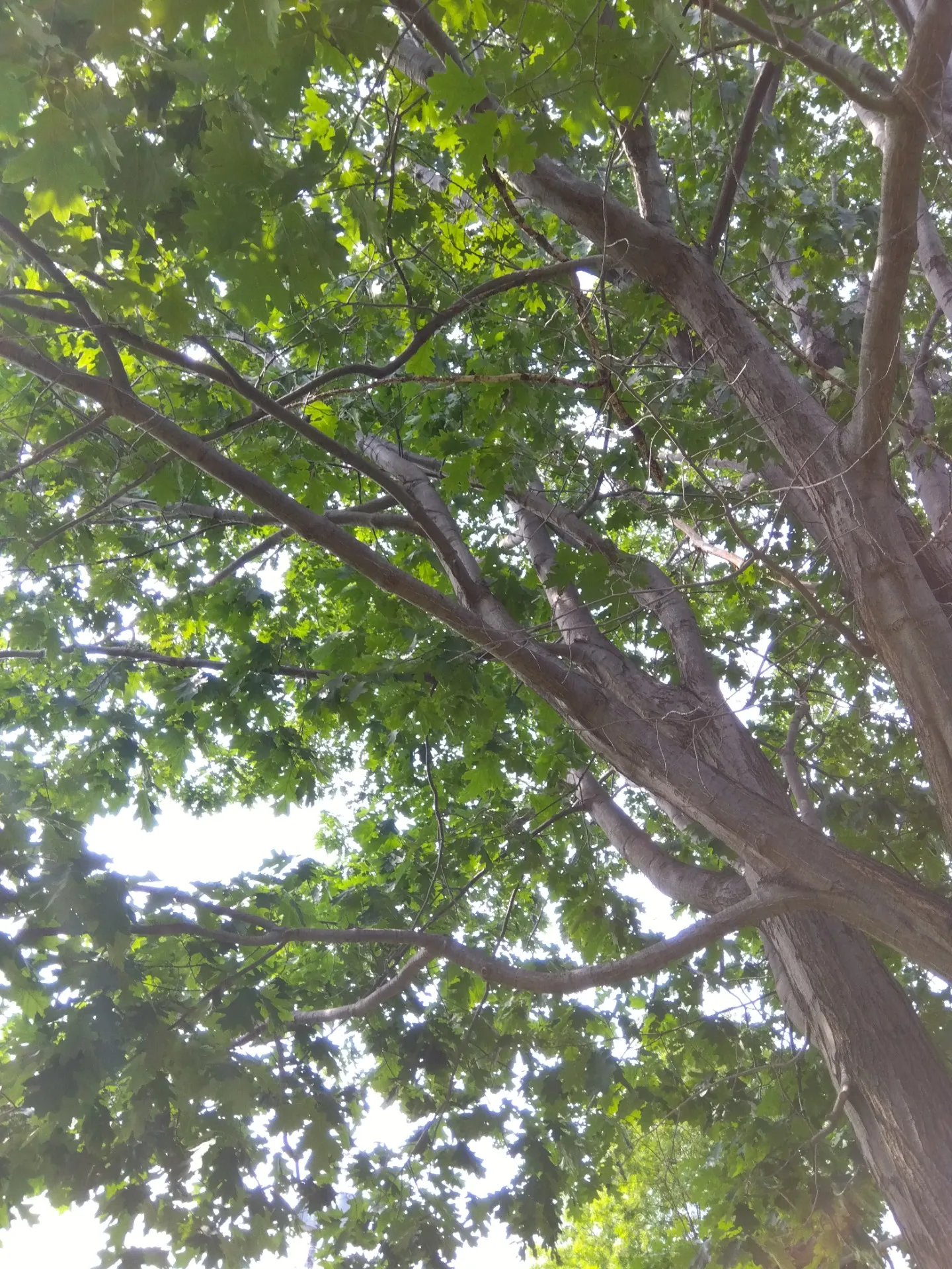 感情の22階段♪札幌市北区麻生レイキヒーリング整体