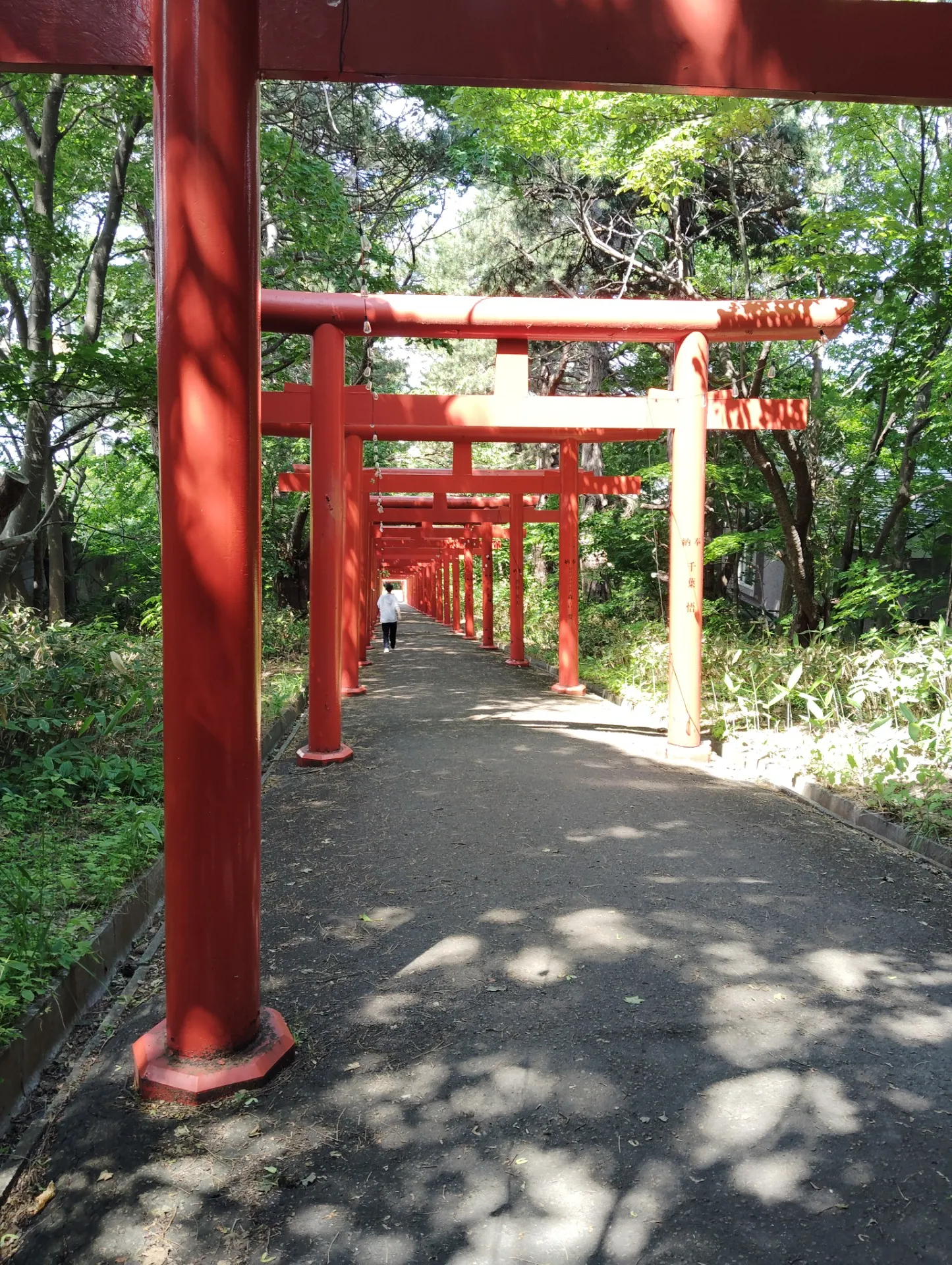 え？ここ伏見？から始まった寄り道