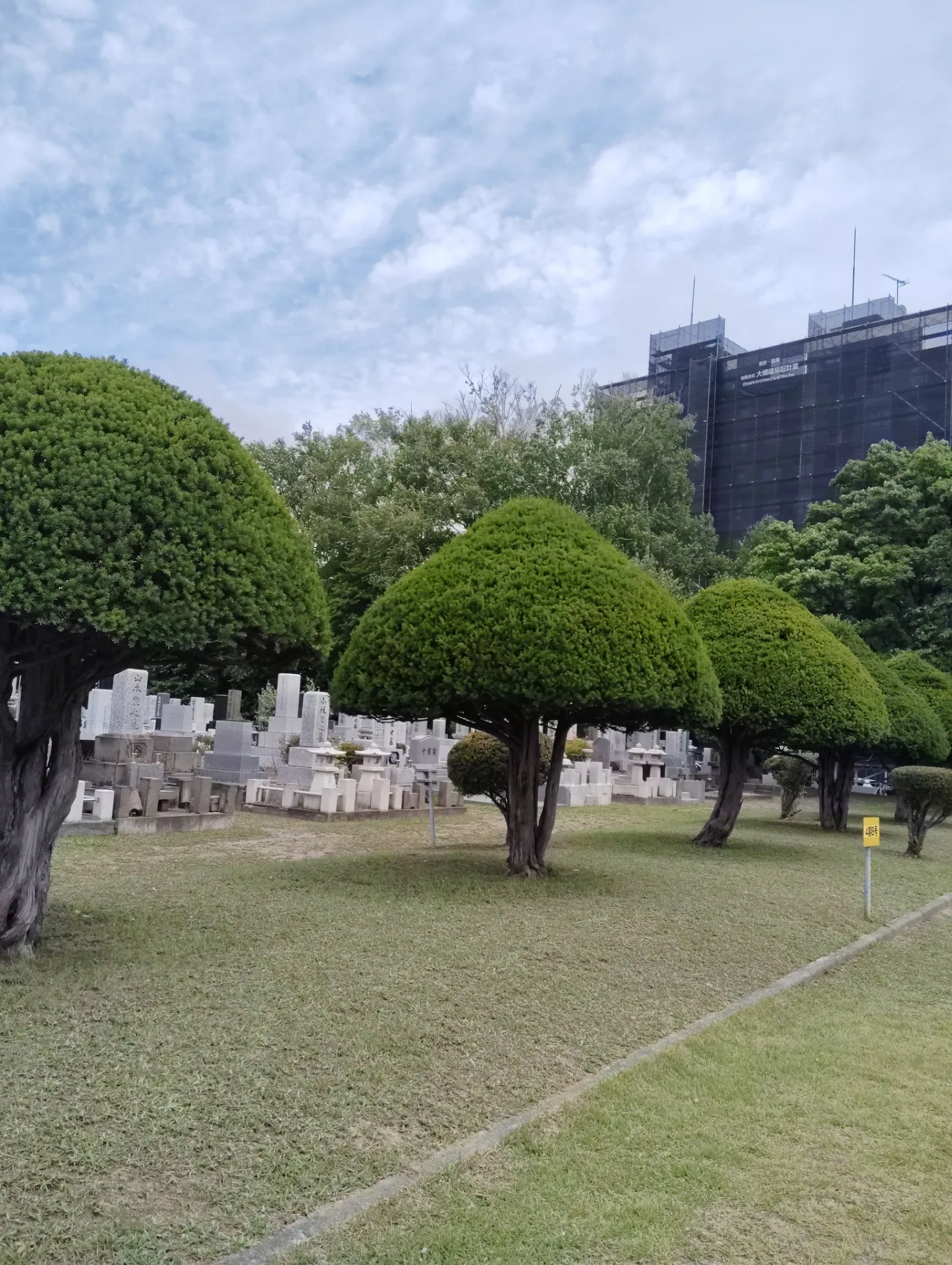 少し早めの墓参り🚗🍃