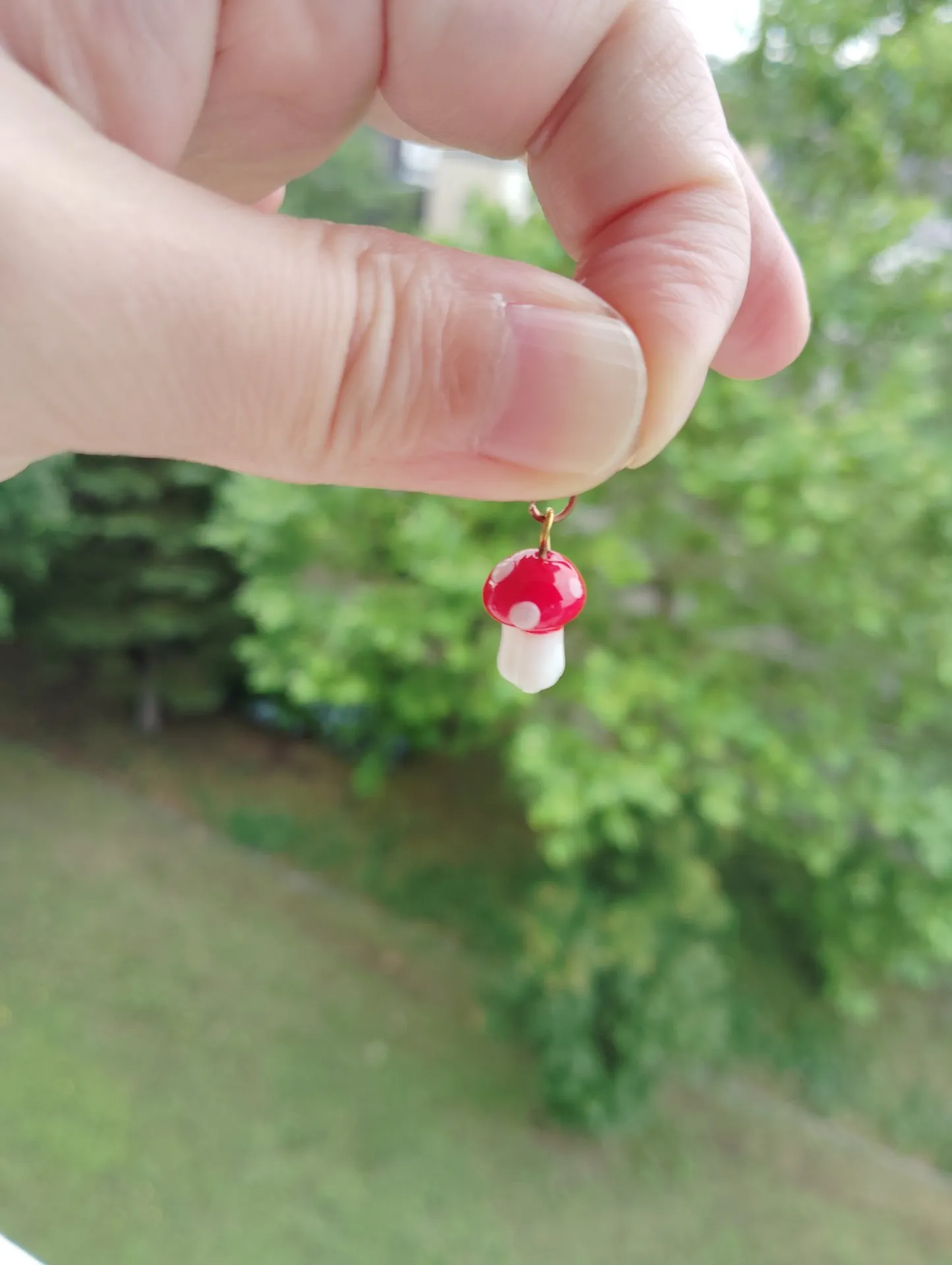 きのこ好き集まれ～🍄