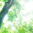 当サロンについて