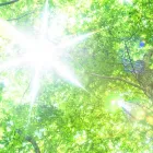 ご予約前のご案内