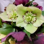 プライバシーポリシー